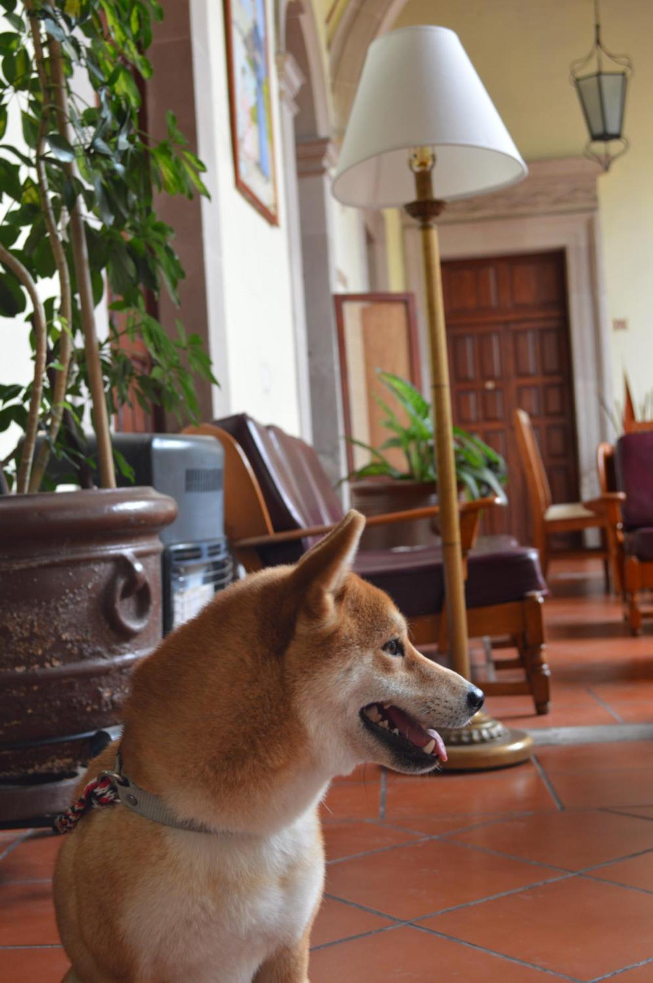 Hotel Posada San Agustin Durango Εξωτερικό φωτογραφία