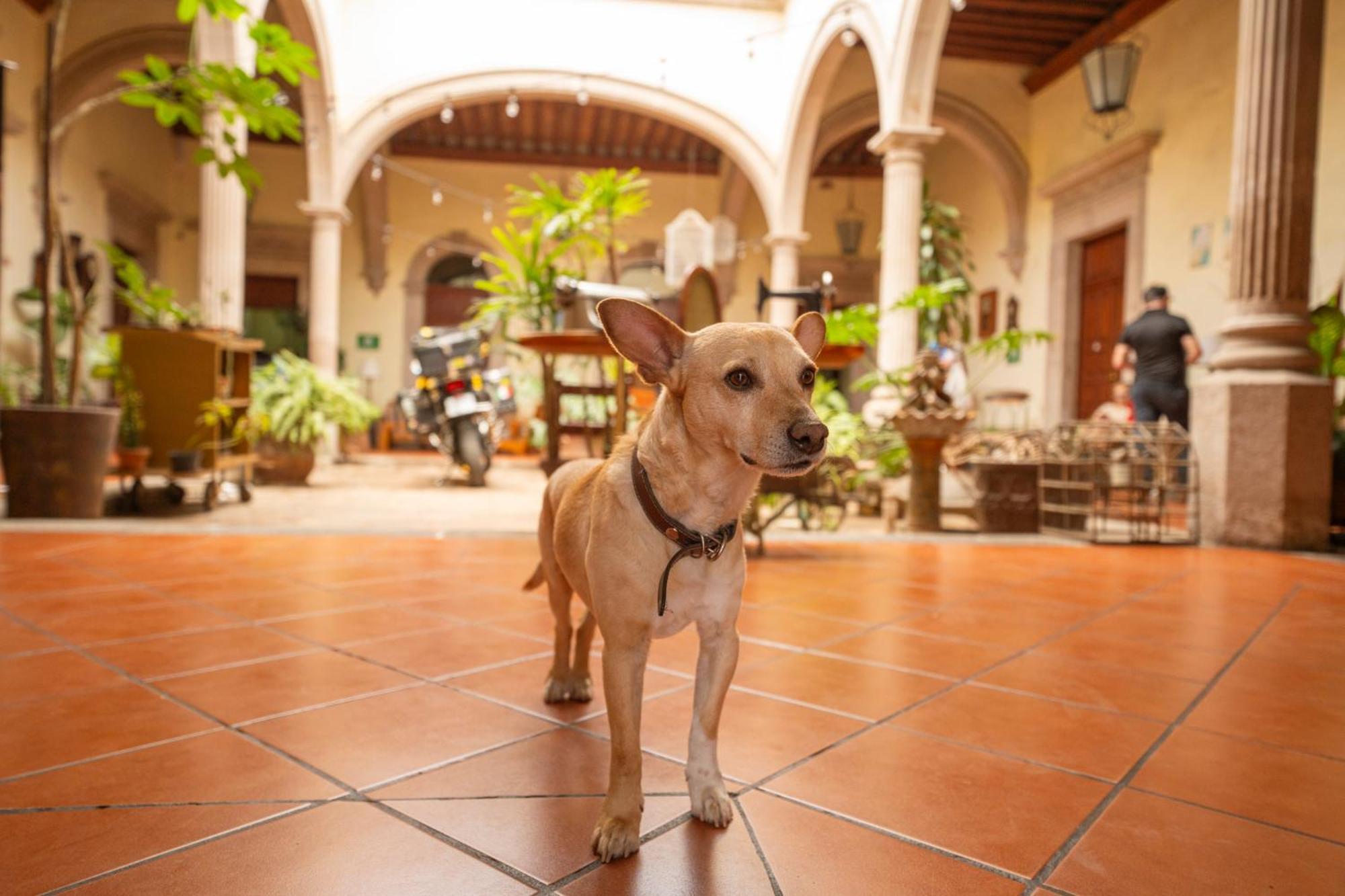 Hotel Posada San Agustin Durango Εξωτερικό φωτογραφία